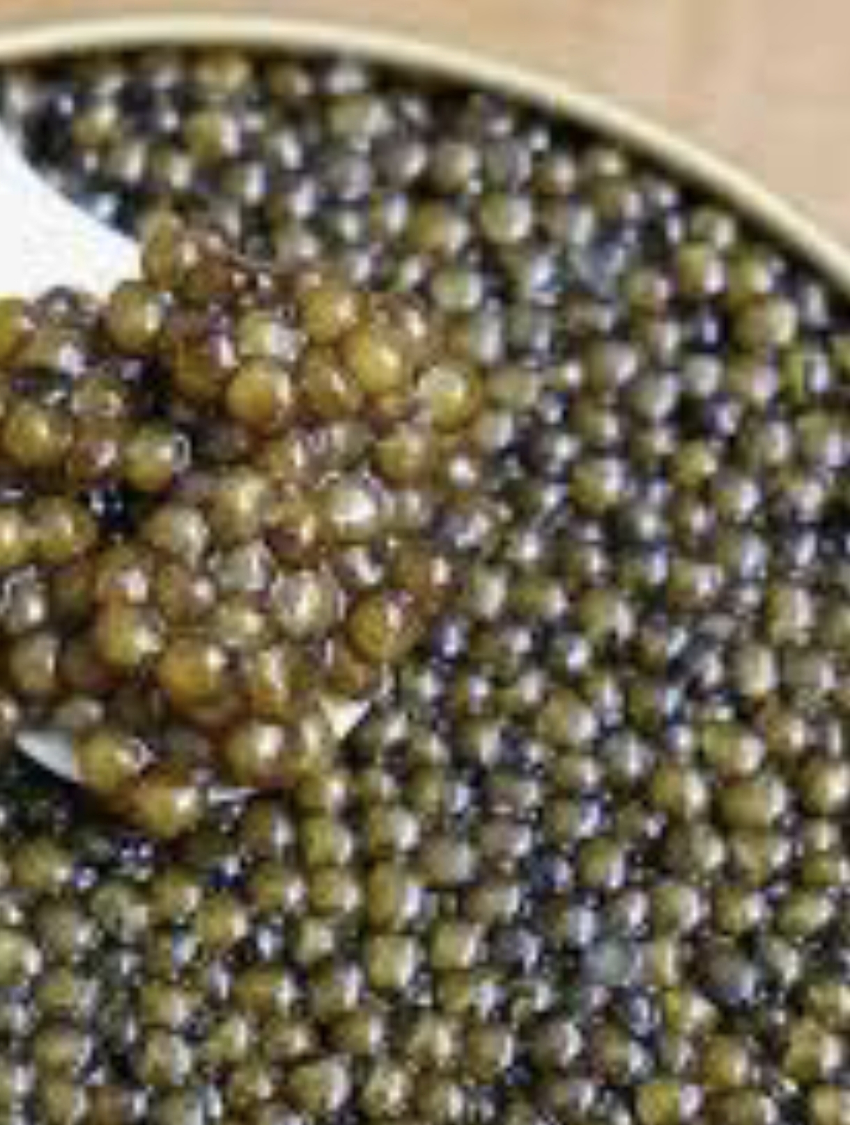 خرید خاویار بلوگا + طعم بی نظیر