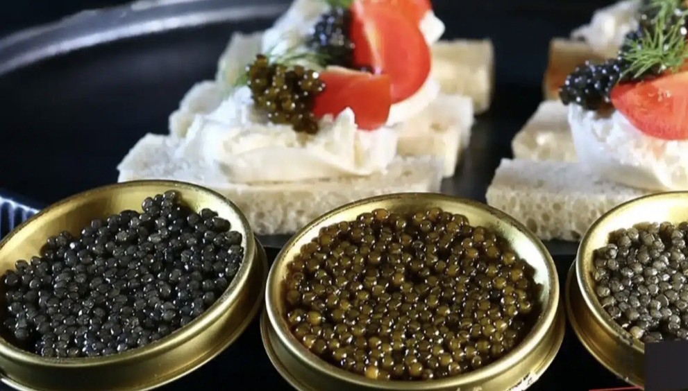 خاویار بلوگا با کیفیت + خرید