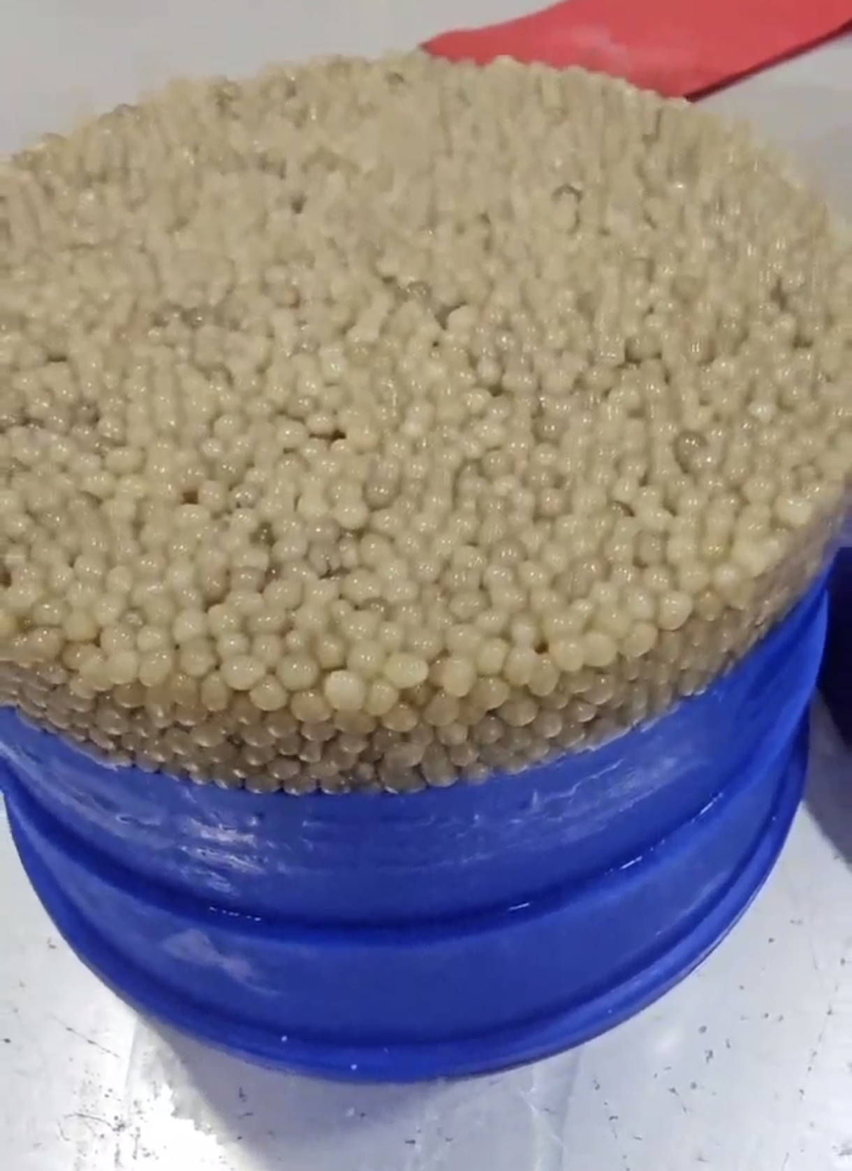 خاویار بلوگا قیمت باور نکردنی