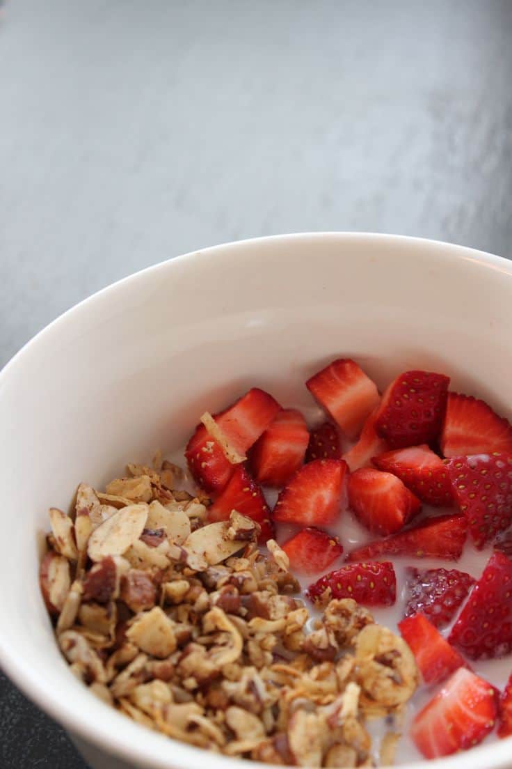 تصویر 3 از قیمت گرانولا صبحانه + خرید باور نکردنی