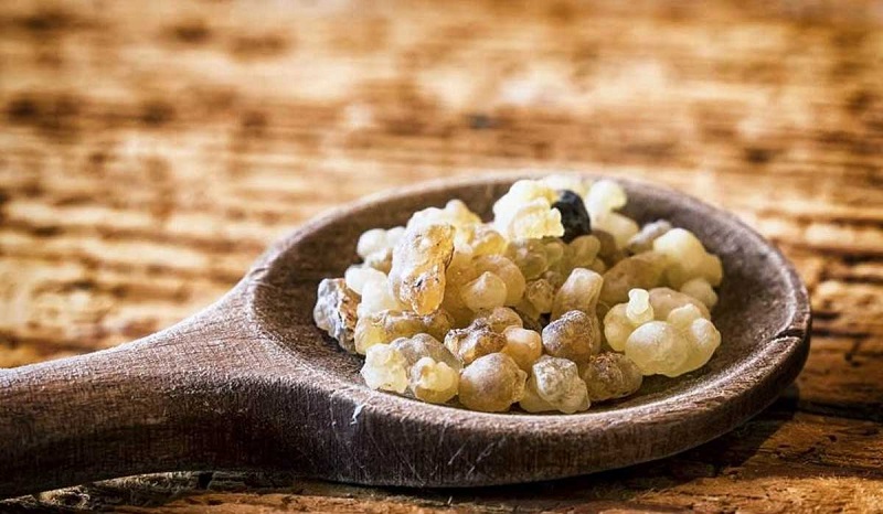 عرضه مستقیم صمغ آنغوزه (خالص) با آنالیز آزمایشگاهی رسمی + قیمت ویژه