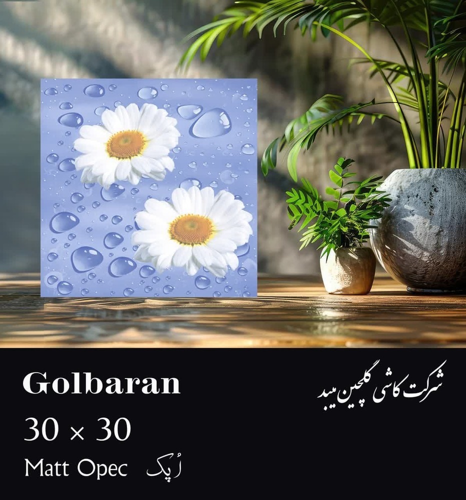 قیمت خرید سرامیک ۳۰ × ۳۰ سرویس بهداشتی