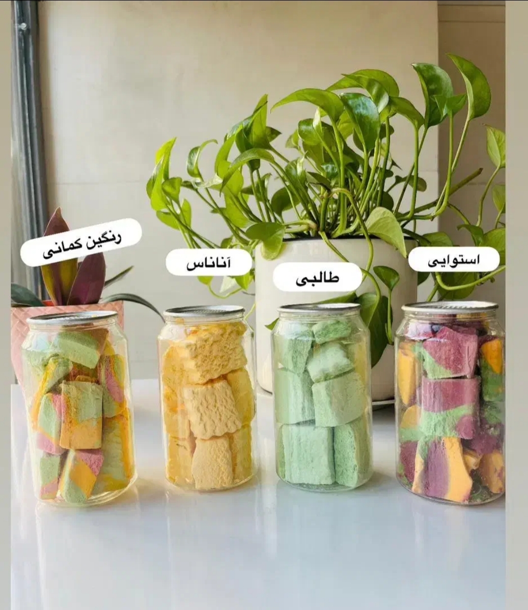 خرید بستنی خشک ۱۰۰ گرمی پیلوپک