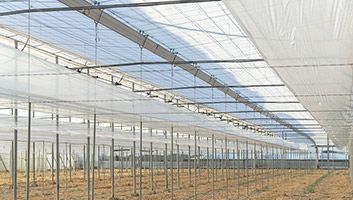 خرید و قیمت پلاستیک دوپوش گلخانه یووی 3 درصد + فروش بی واسطه