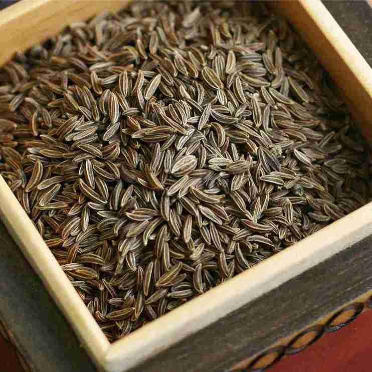 خرید زیره سیاه کمیاب با تاییدیه دارویی و بالاترین میزان اسانس