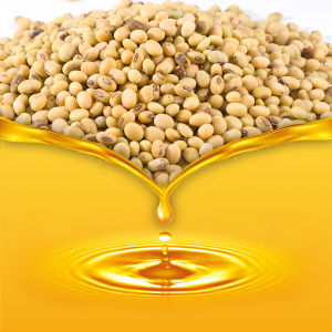 قیمت خرید روغن سویا تصفیه شده فله ای + فروش ویژه