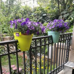 خرید گلدان های پلاستیکی کوچک برای صرفه جویی مالی قابل توجه در خرید و نگهداری