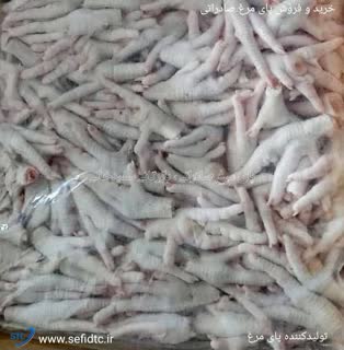 فروش و خرید پای مرغ زرد
