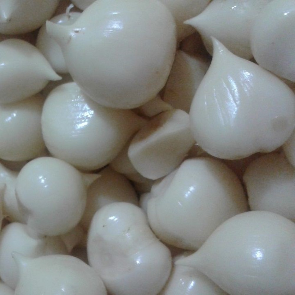 تصویر 1 از قیمت باور نکردنی سس سیر سیاه ارگانیک