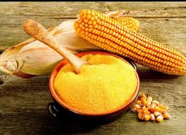 قیمت خرید عمده + گلوتن ذرت