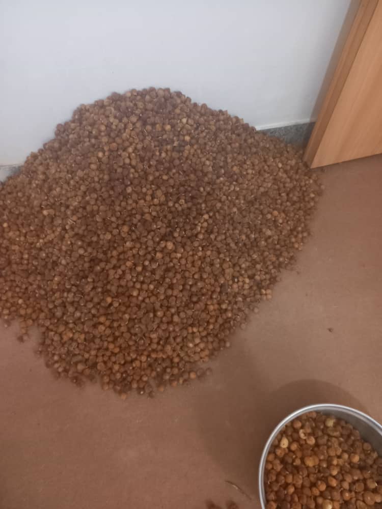 فروش انجیر شکلاتی + بهترین قیمت بازار