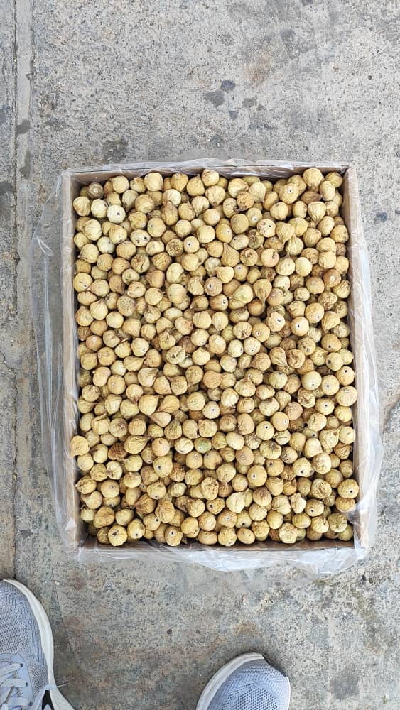 فروش ویژه انجیر زرد ریز با بهترین کیفیت