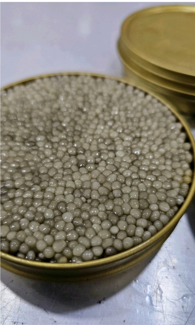 خاویار بلوگا فروش