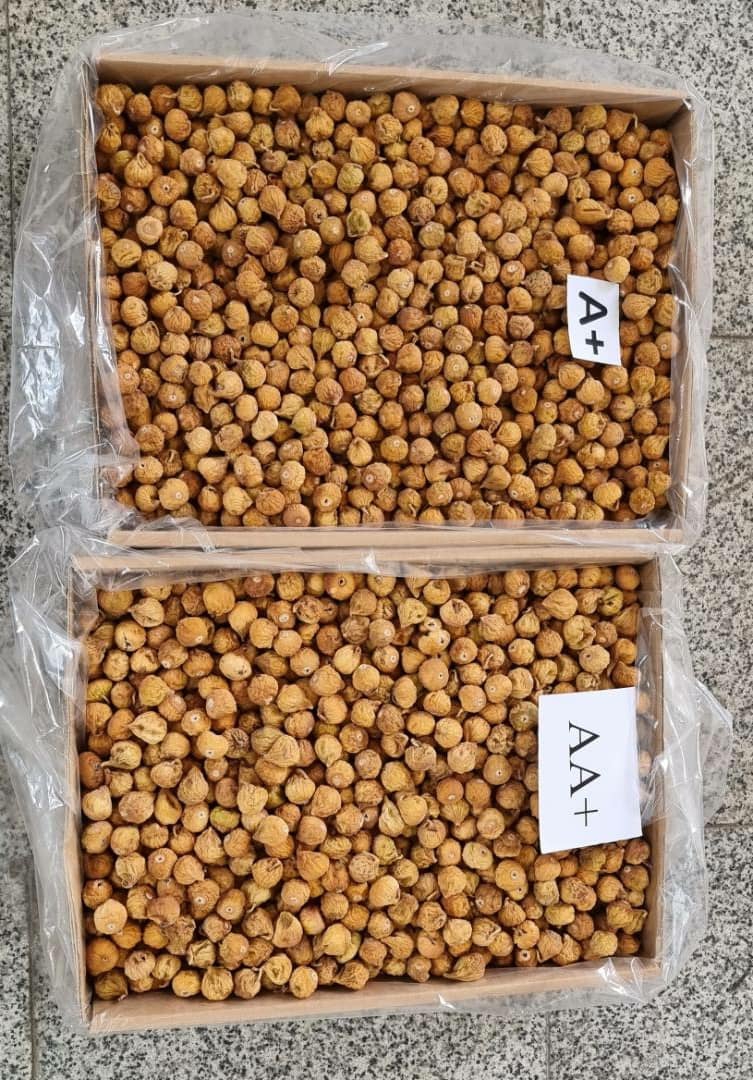 فروش انواع انجیر کارتن شده و ارگانیک + ارسال و سفارش سریع