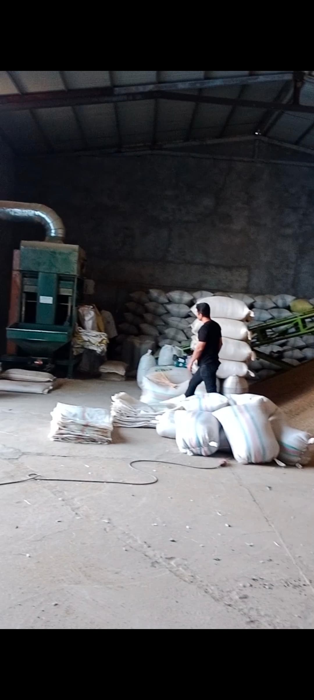 عرضه تخم گشنیز آناهیتا با برگه آنالیز آزمایشگاهی جهت صادرات