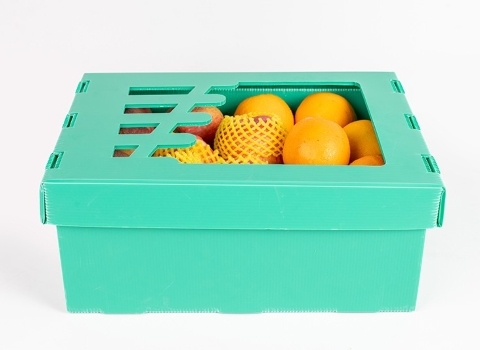 خرید و فروش جعبه کارتن پلاست میوه با حاشیه سود بالا