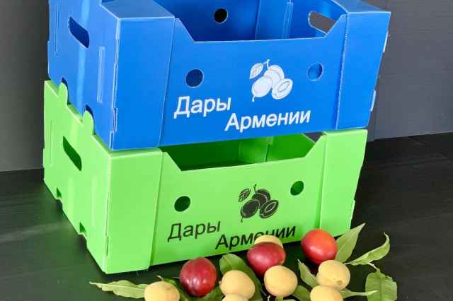 خرید نقدی جعبه میوه کارتن پلاست + تخفیف ویژه