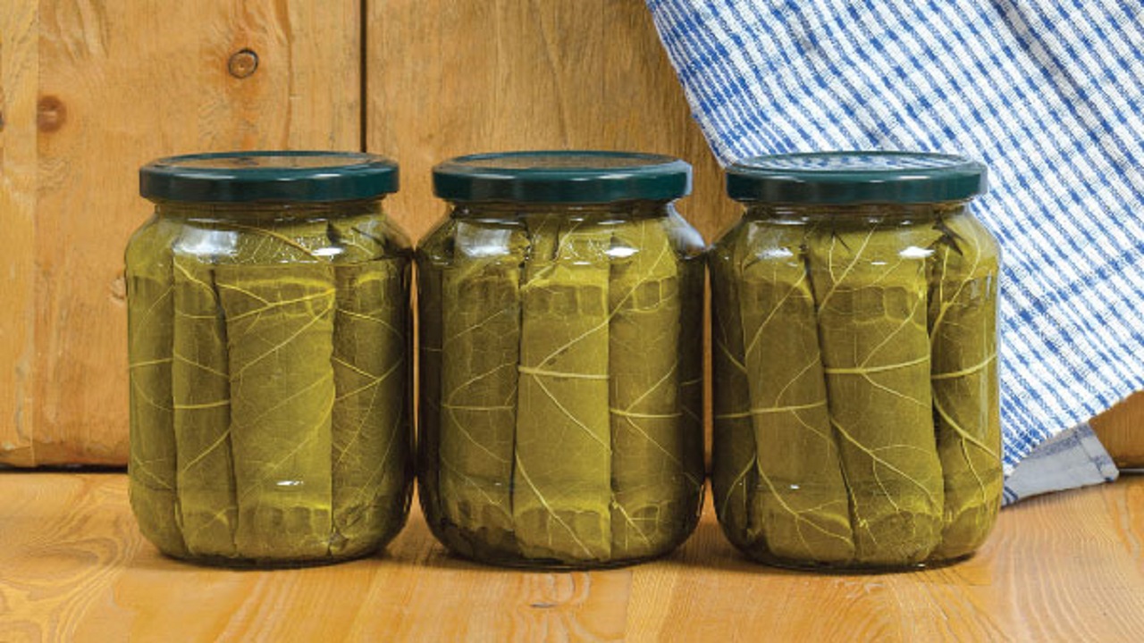 شوری ممتاز برگ مو + قیمت فروش