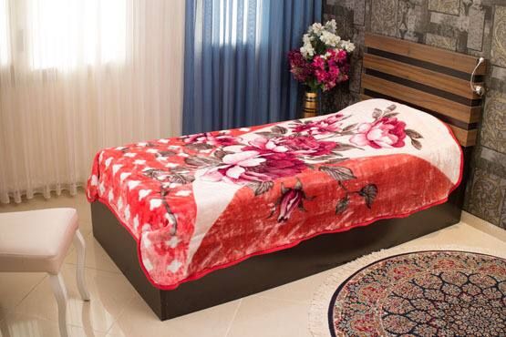 تصویر 4 از قیمت تولیدی پتو پروانه + فروش عمده