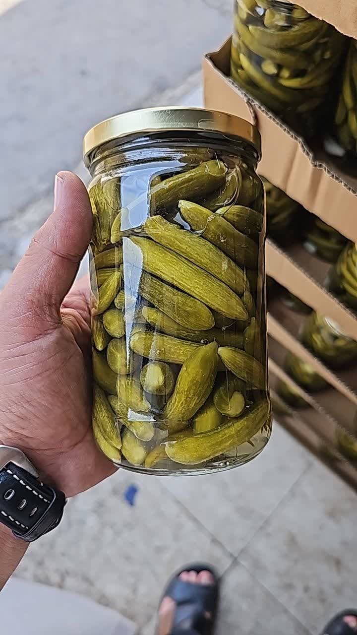 خیارشور سوپر ویژه + قیمت عمده مخصوص صادرات