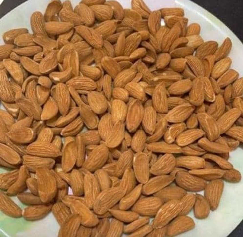 تامین بادام مامایی مخصوص صادرات به بازار هند و پاکستان + قیمت
