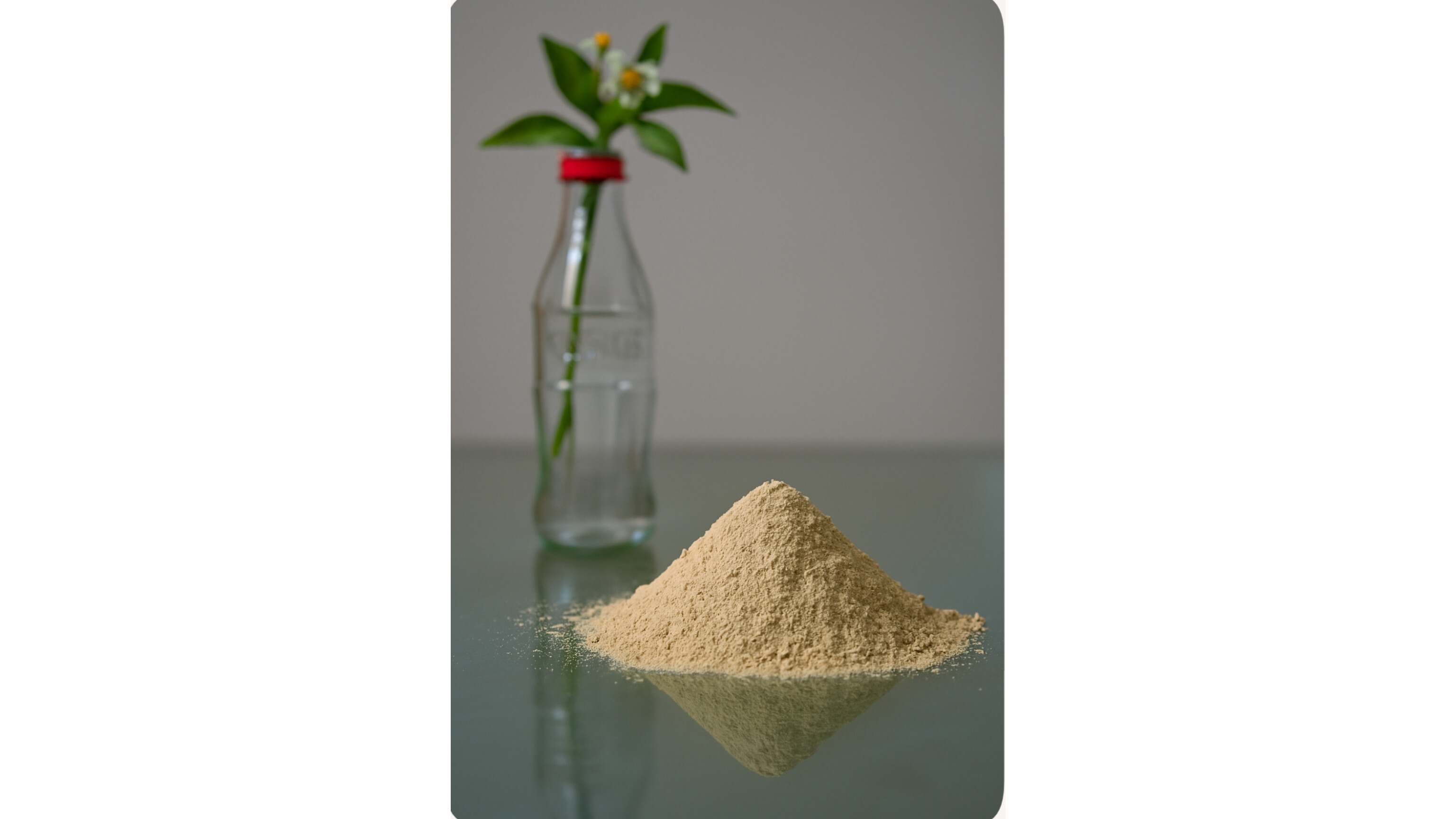 قیمت عمده پودر زنجبیل + شرایط خرید آسان