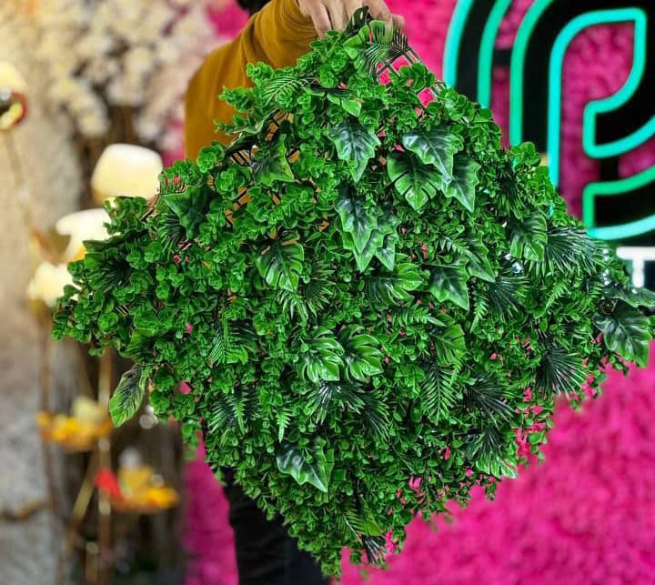 قیمت خرید گرین وال قم