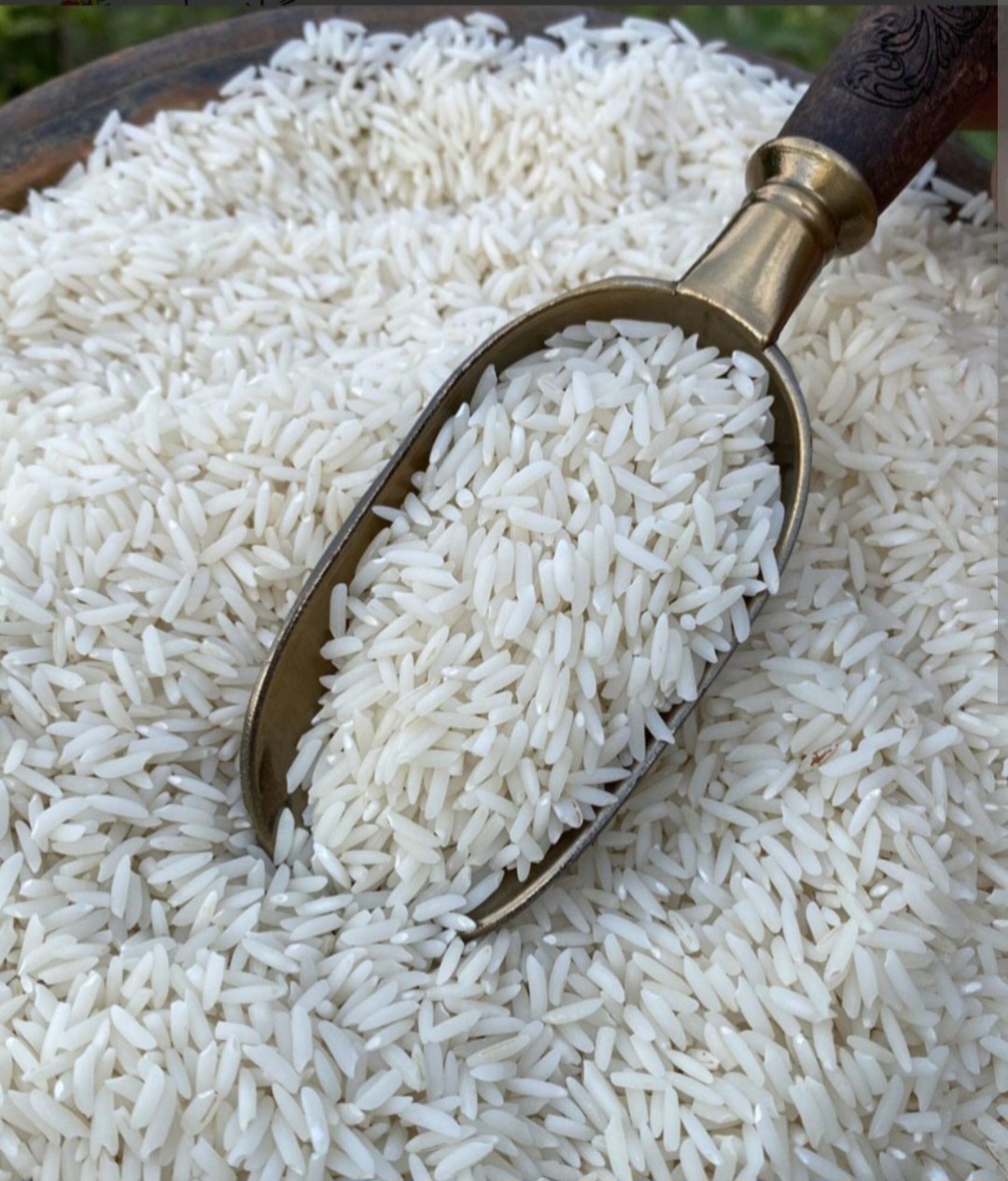 خرید برنج طارم هاشمی درجه یک شمال