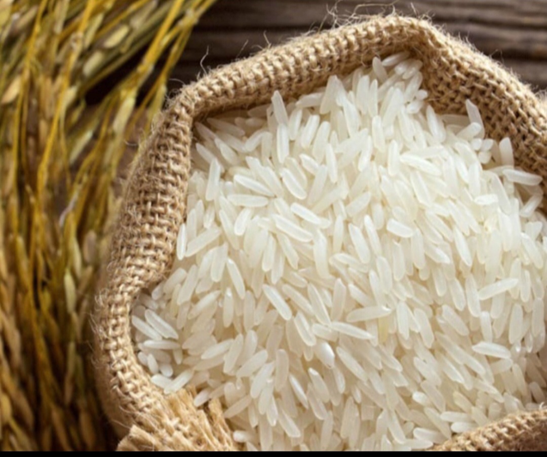 فروش برنج طارم هاشمی اعلا و مرغوب شمال