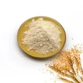 خرید گلوتن گندم با کیفیت صادراتی + بسته‌ بندی‌ استاندارد