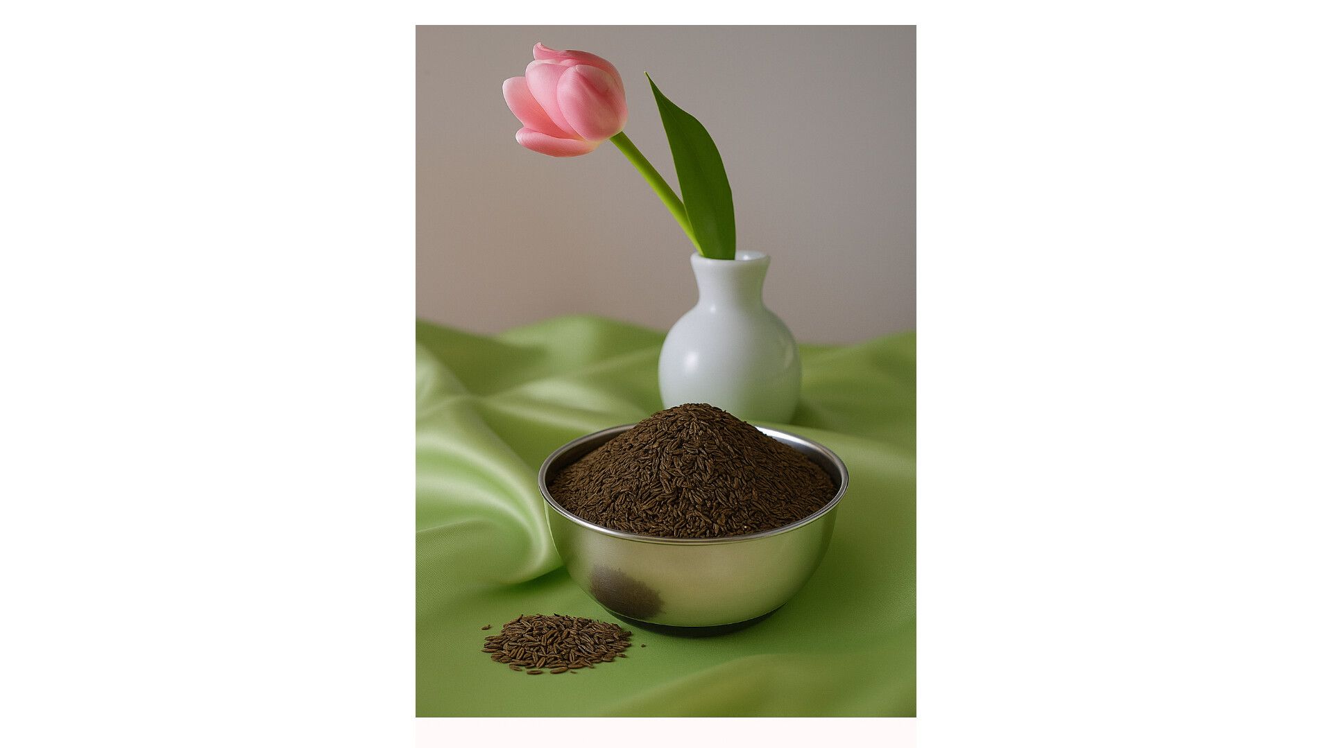 خرید عمده زیره سیاه + سود بالا