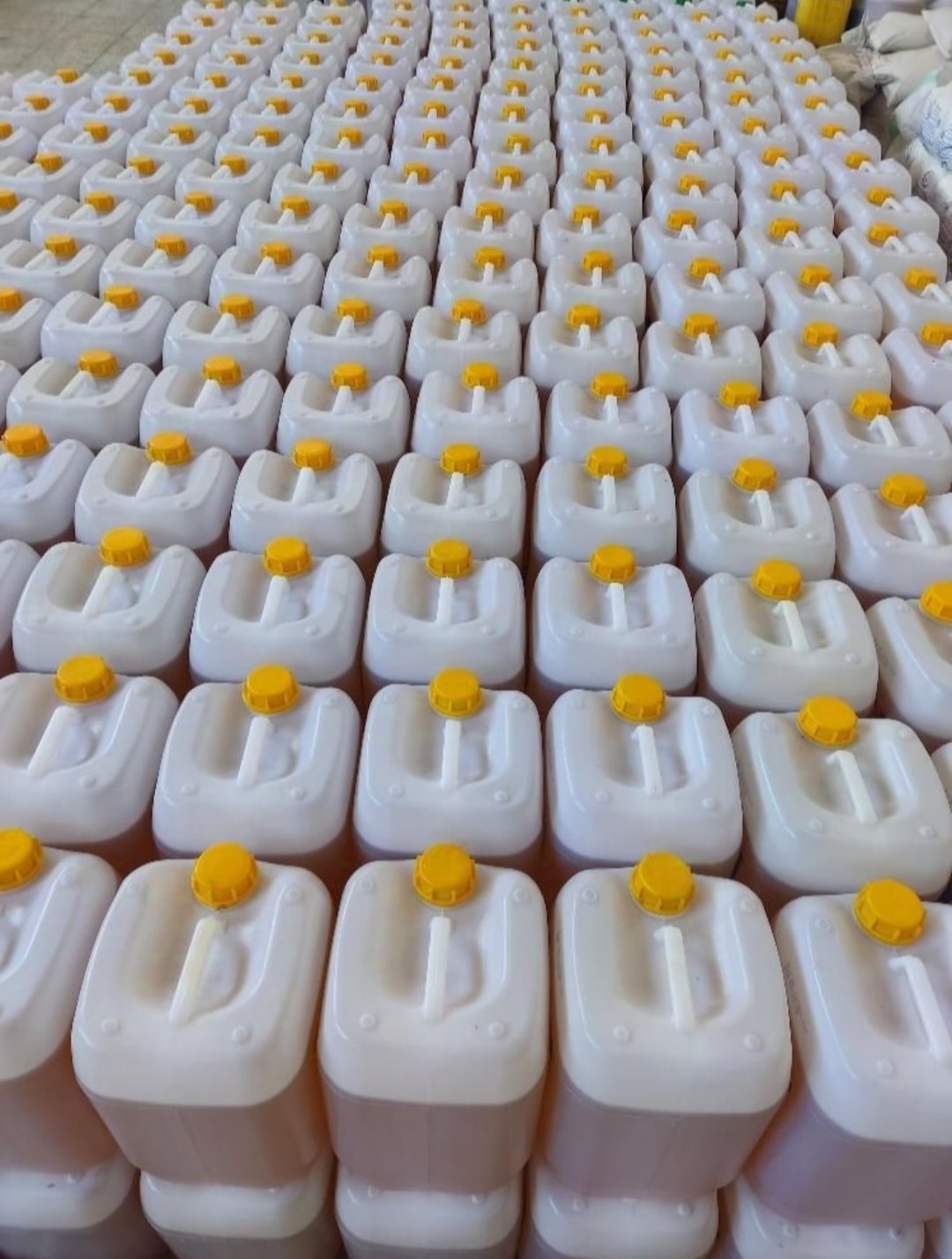 تصویر 2 از قیمت خرید روغن کلزا (گالن 20 لیتری) + عمده