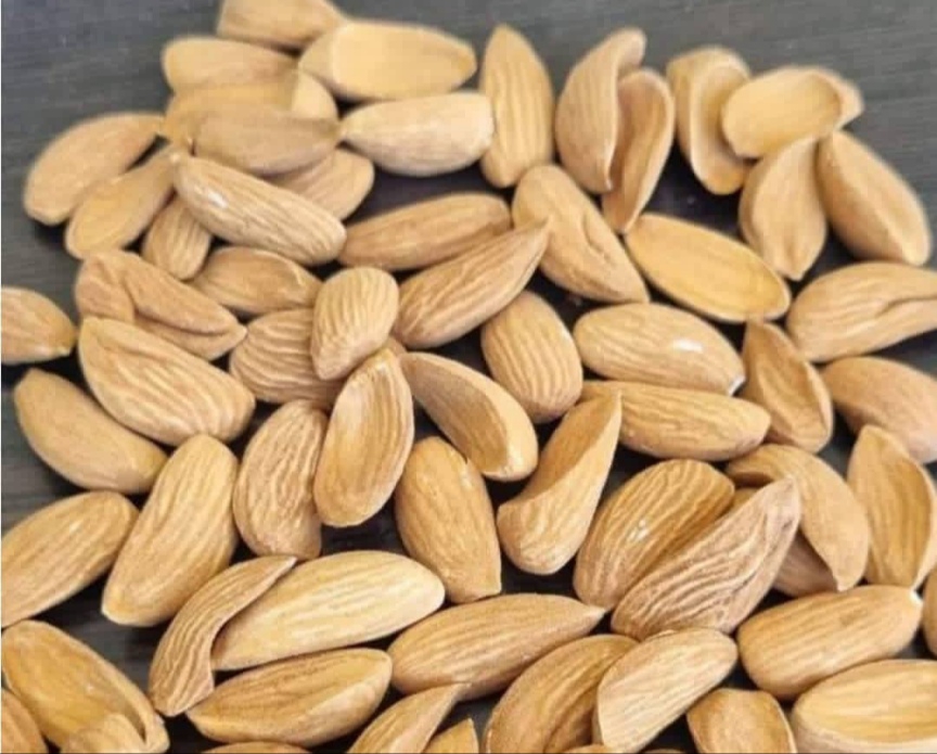 فروش بادام مامایی فله‌ ای قیمت رقابتی + کیفیت تضمینی