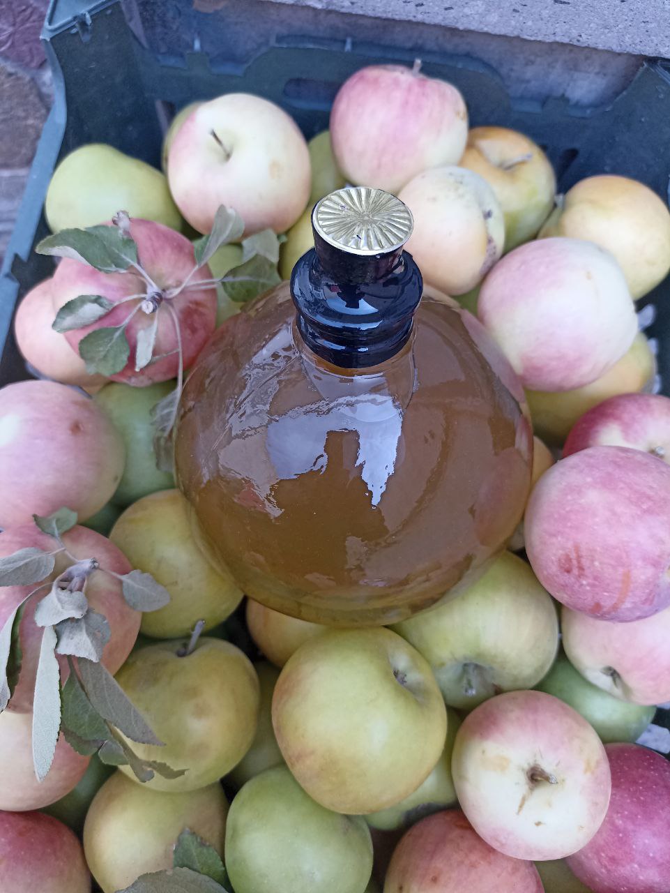 خرید سرکه سیب ناب + قیمت مناسب