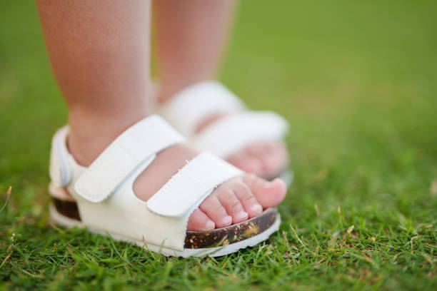 تصویر 3 از قیمت خرید صندل بچگانه با فروش عمده