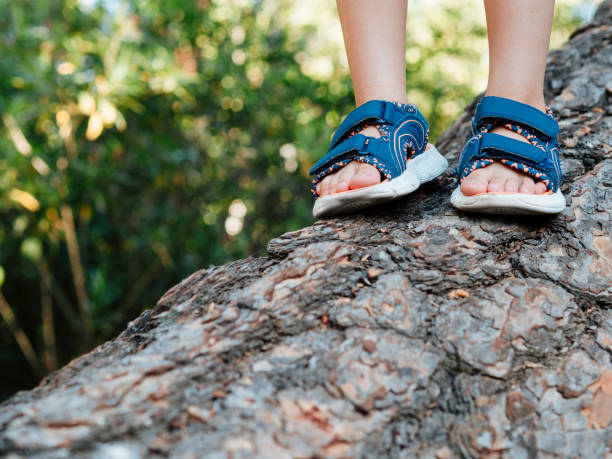 تصویر 5 از خرید و قیمت صندل بچگانه پسرانه + فروش عمده