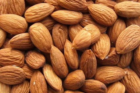 خرید و قیمت انواع بادام درختی خام