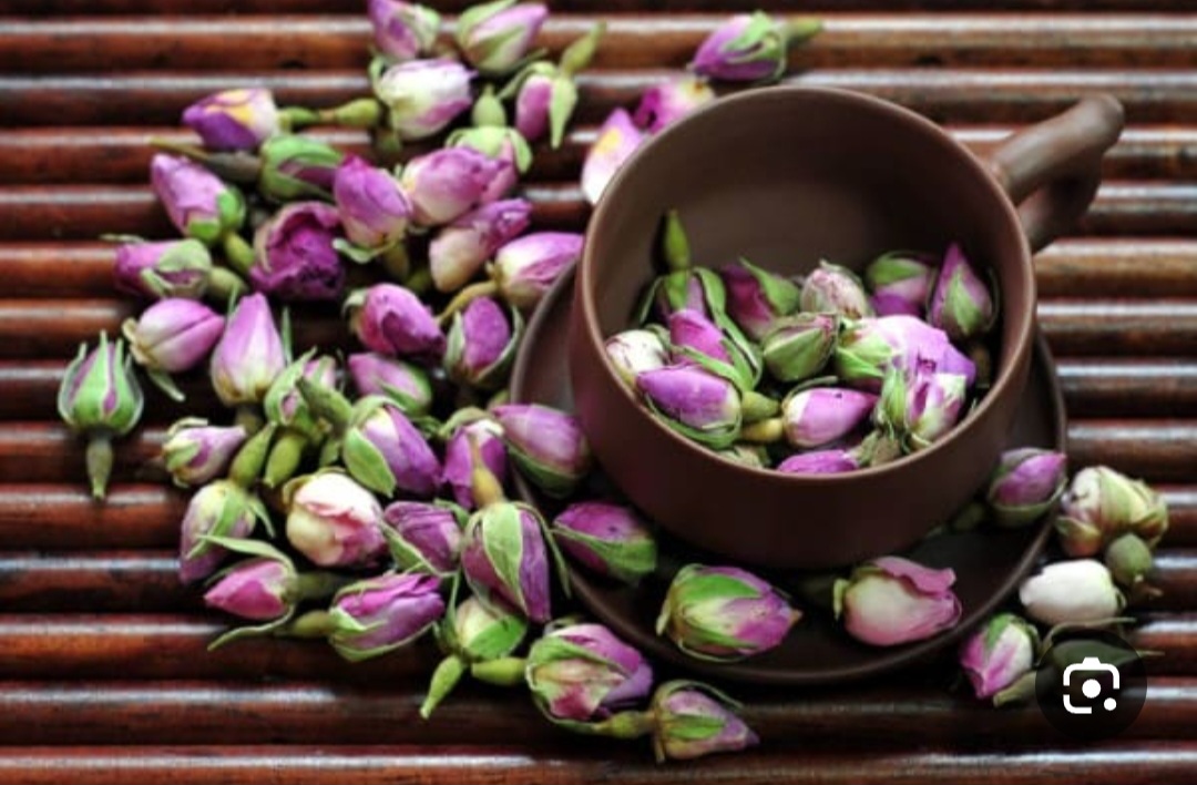 خرید غنچه گل محمدی + برای چای و دمنوش و عطر سازی
