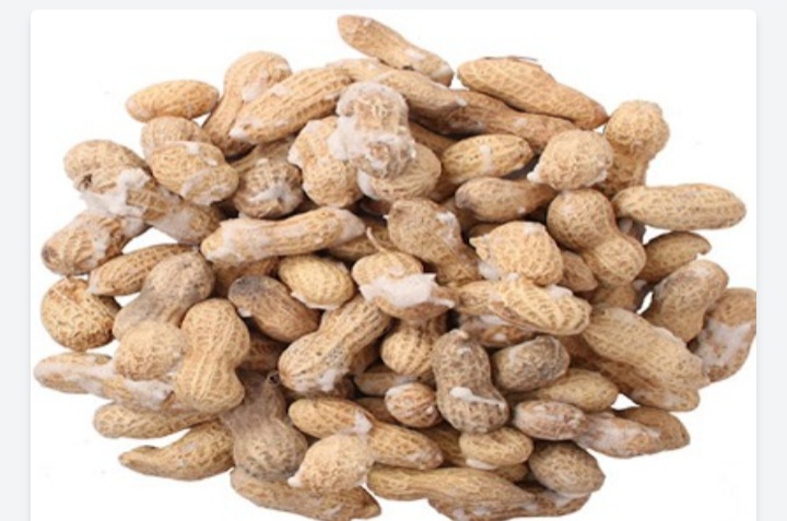 فروش بادام زمینی غلاف دار برشته درجه یک