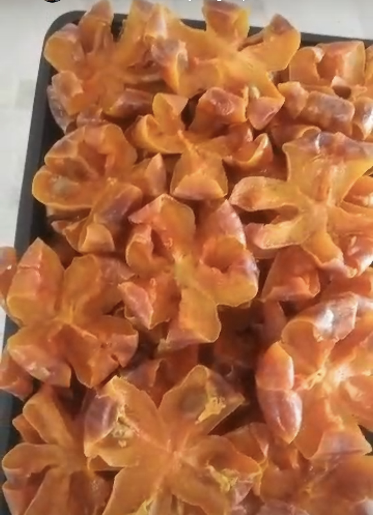 فروش عمده و جزیی خرمالو جدید طرح گل برند کرشمه