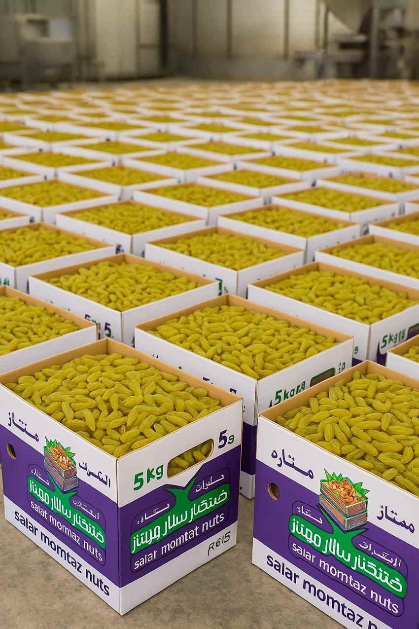 فروش عمده کشمش سبز + قیمت