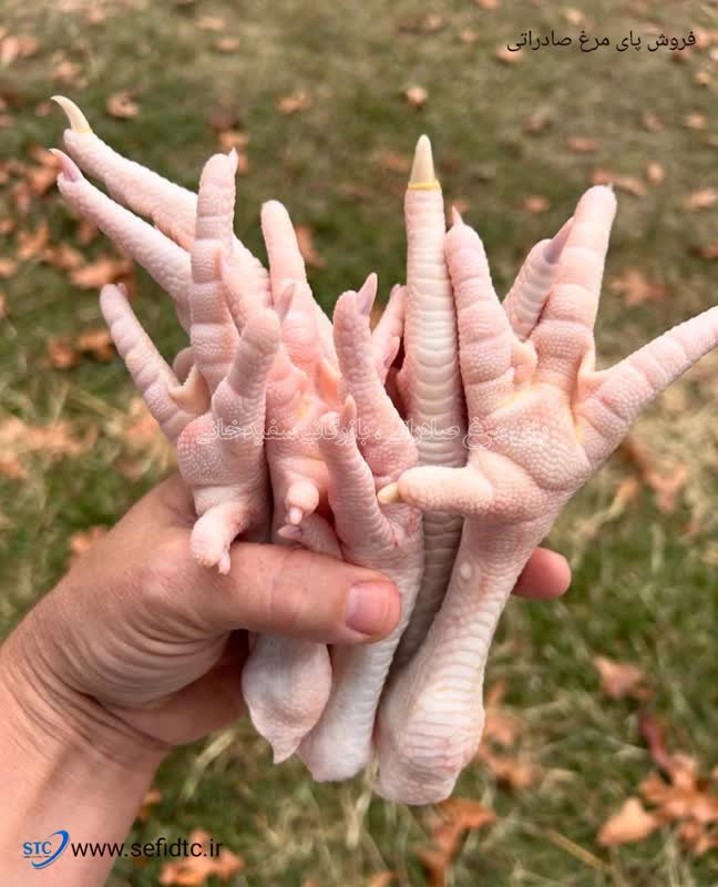 خرید پا مرغ