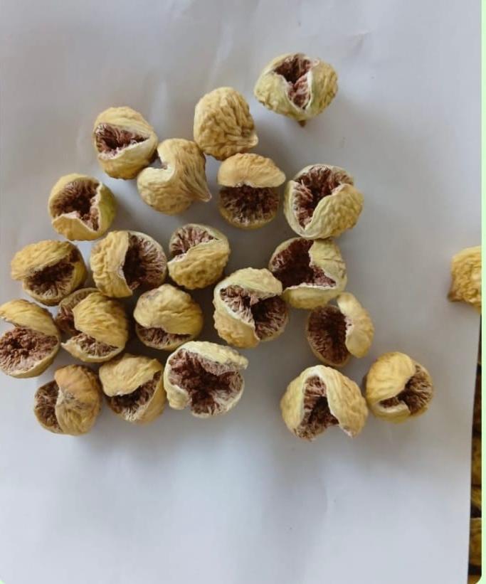 فروش ویژه انجیر دهان باز با بسته ‌بندی خواص