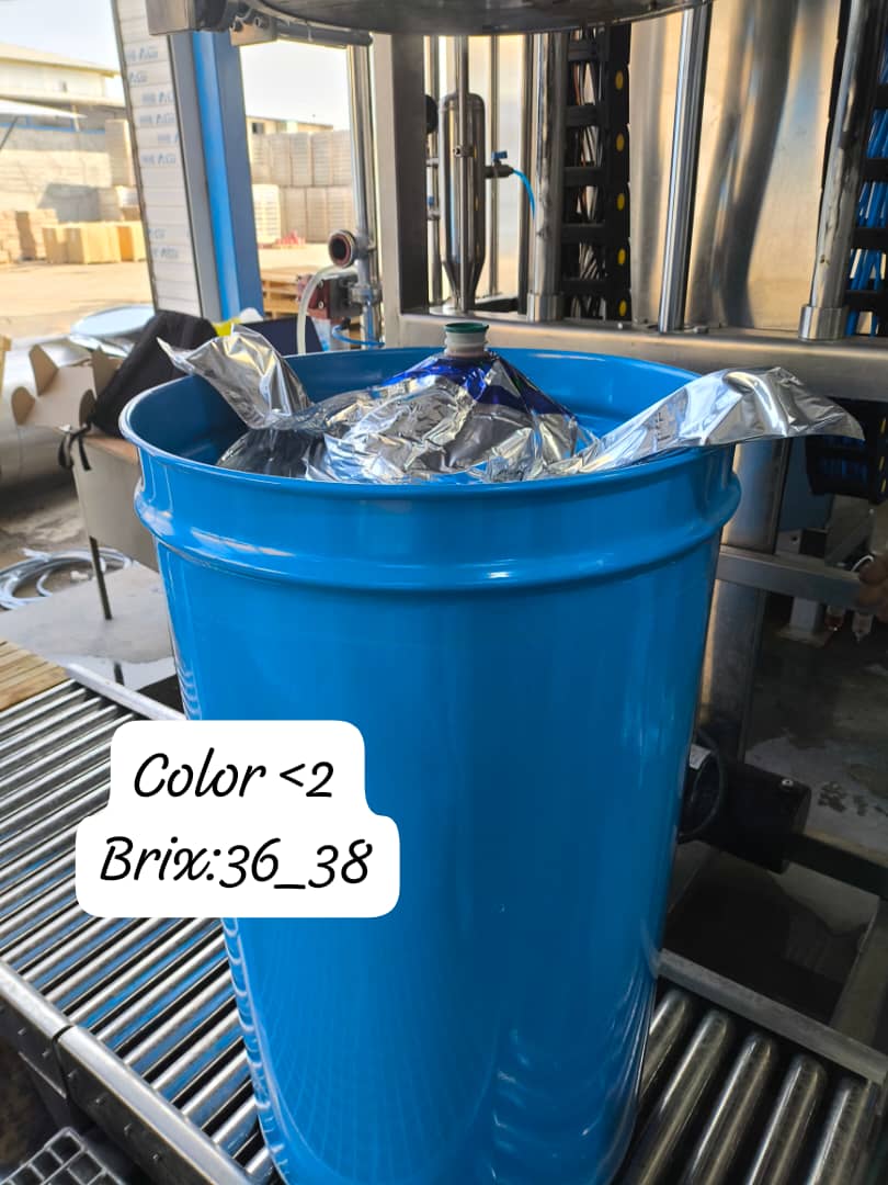 فروش ویژه رب اسپتیک + بار ترکیه