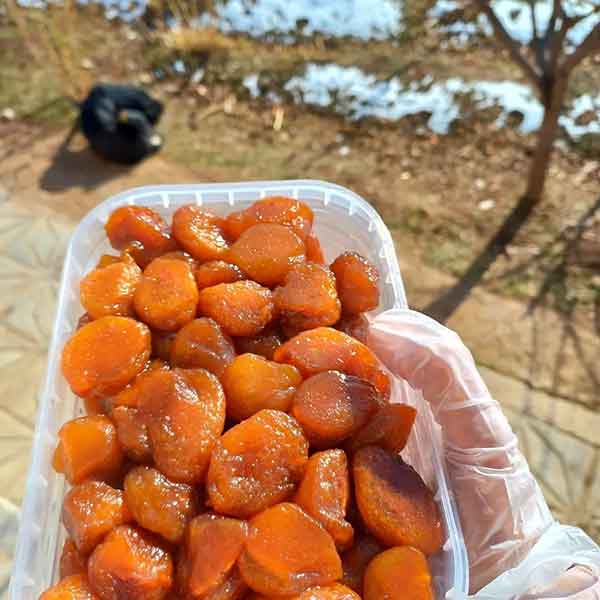 خرید آلو بخارا + قیمت فروش استثنایی