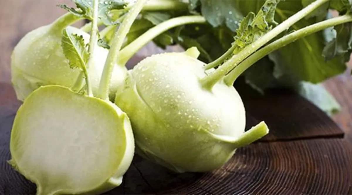 خرید و قیمت کلم قمری + فروش عمده