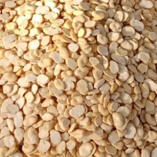 خرید و قیمت لپه باقالی اعلا + فروش صادراتی