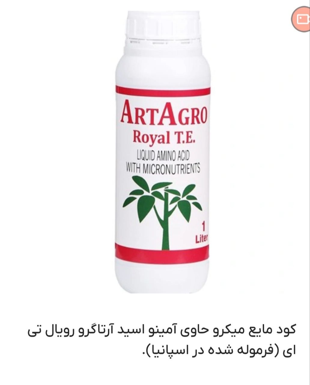 کود اسید امینه فروش ویژہ