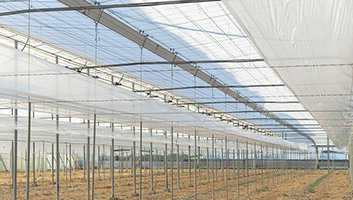 قیمت رقابتی نایلون دوپوش گلخانه عرض 3 متر + خرید از کارخانه