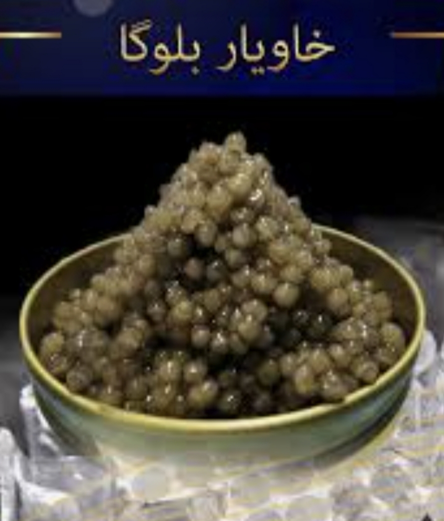 خاویار بلوگا با کیفیت و ارزش غذایی بالا